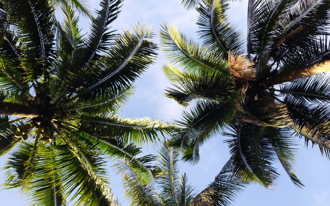 Sei in ferie? Imposta una risposta automatica o inoltra la tua posta in pochi clic!