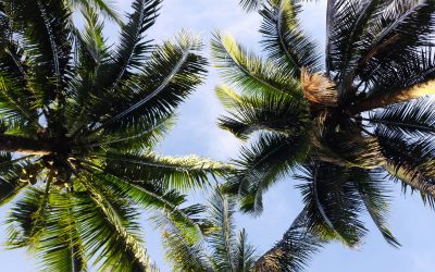 Sei in ferie? Imposta una risposta automatica o inoltra la tua posta in pochi clic!